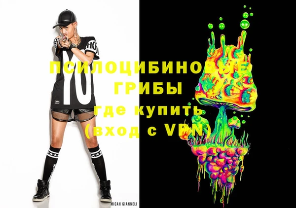 бошки Магас