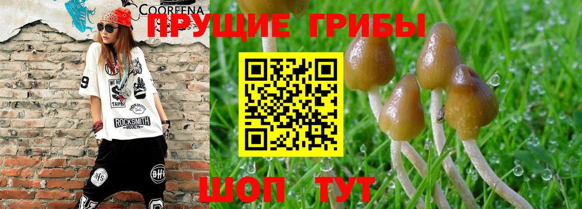 Псилоцибиновые грибы Magic Shrooms Полевской